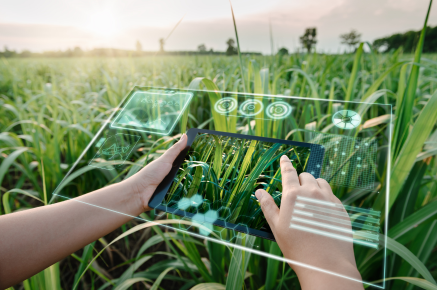 The importance of data in transforming agri-food systems  